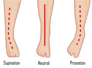 چرخش مچ پا به خارج (Supination)